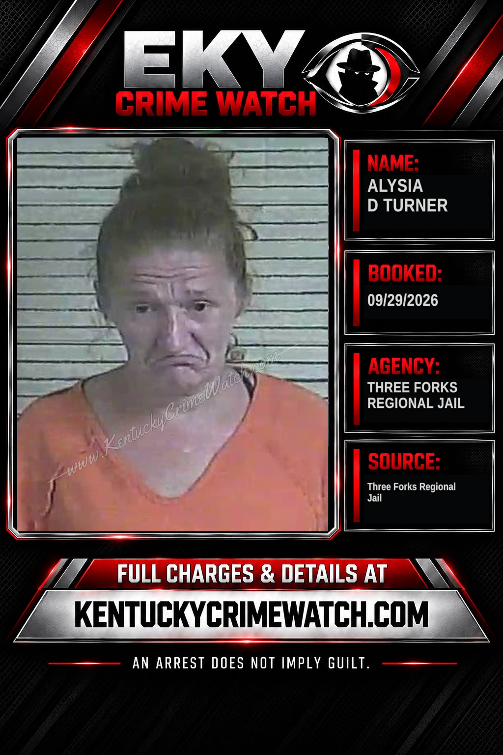 Alysia D Turner booking image