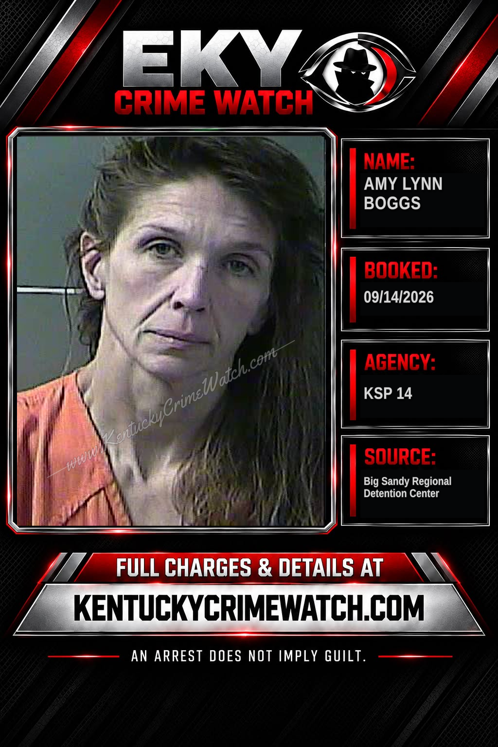 AMY LYNN BOGGS booking image