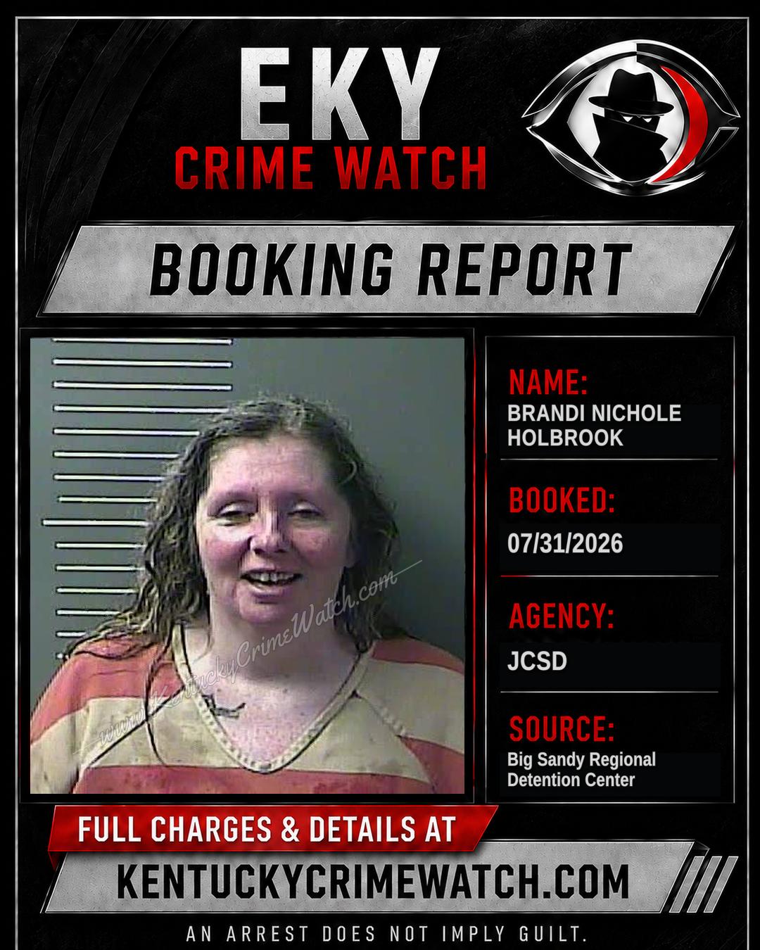 BRANDI NICHOLE HOLBROOK booking image