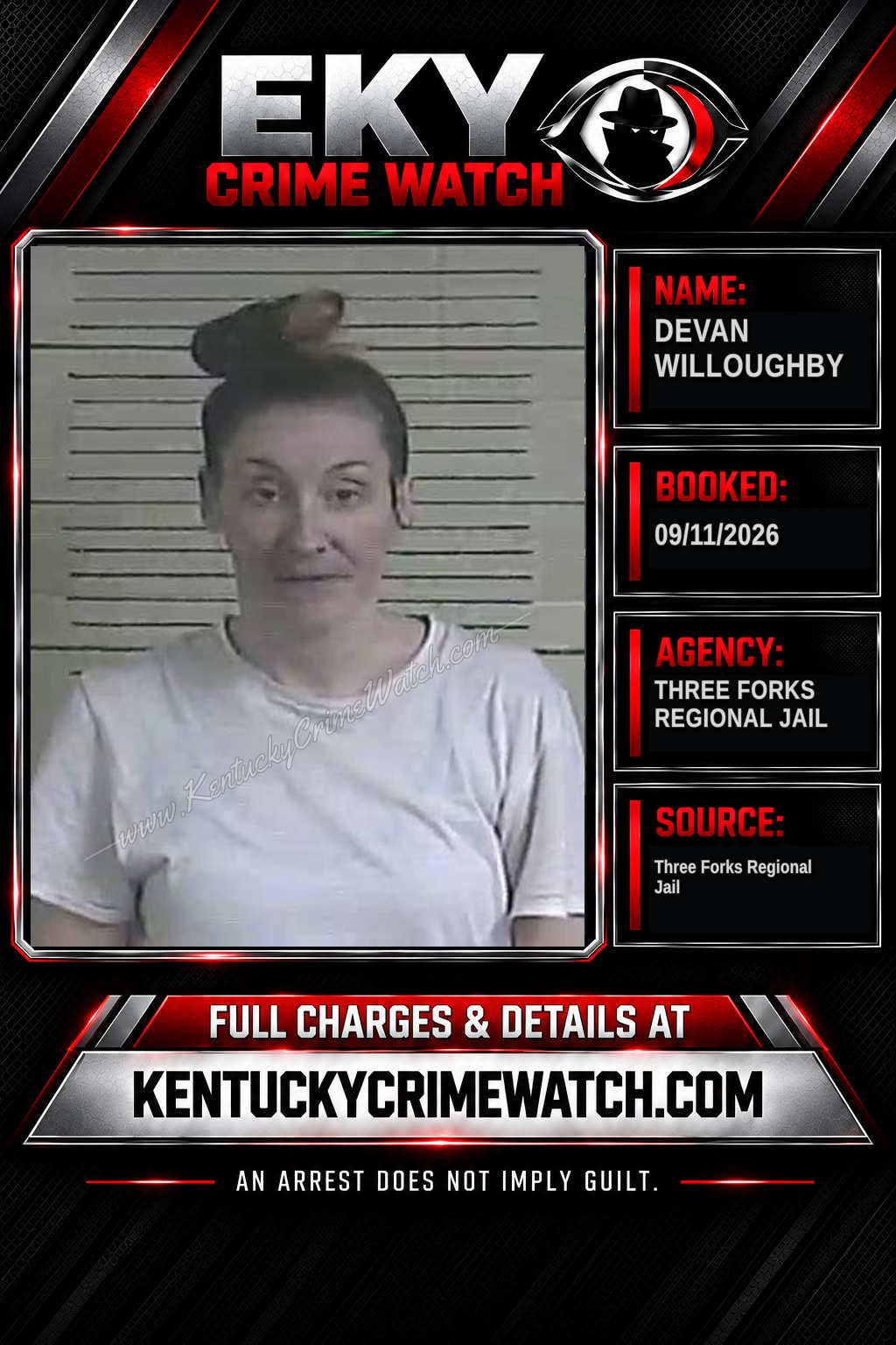 Devan Willoughby booking image