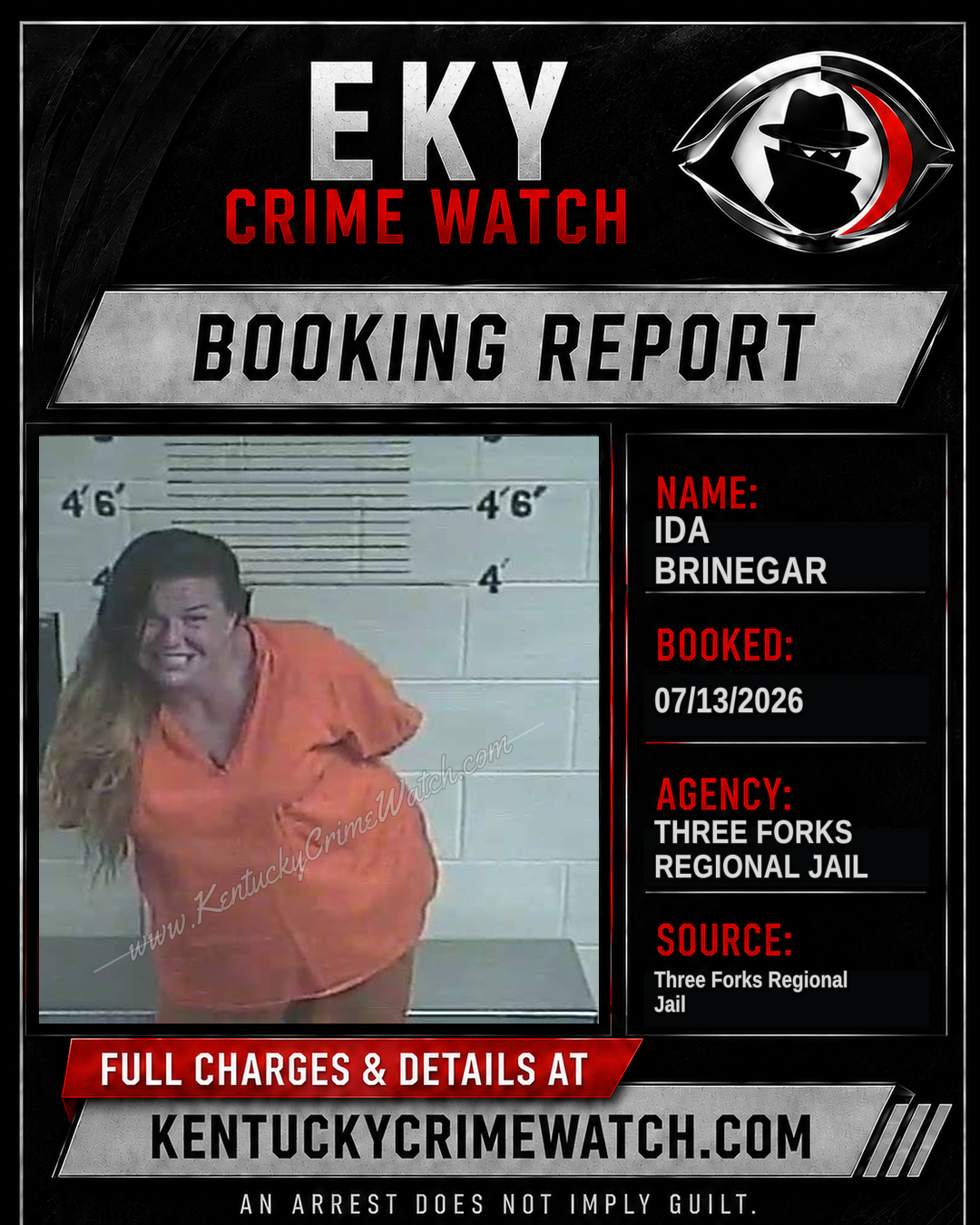 Ida Brinegar booking image