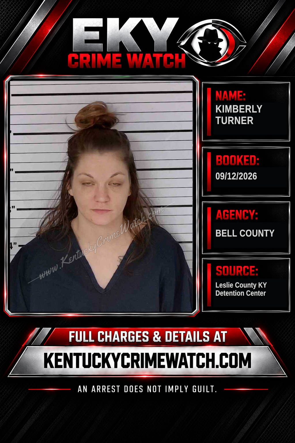 KIMBERLY TURNER booking image