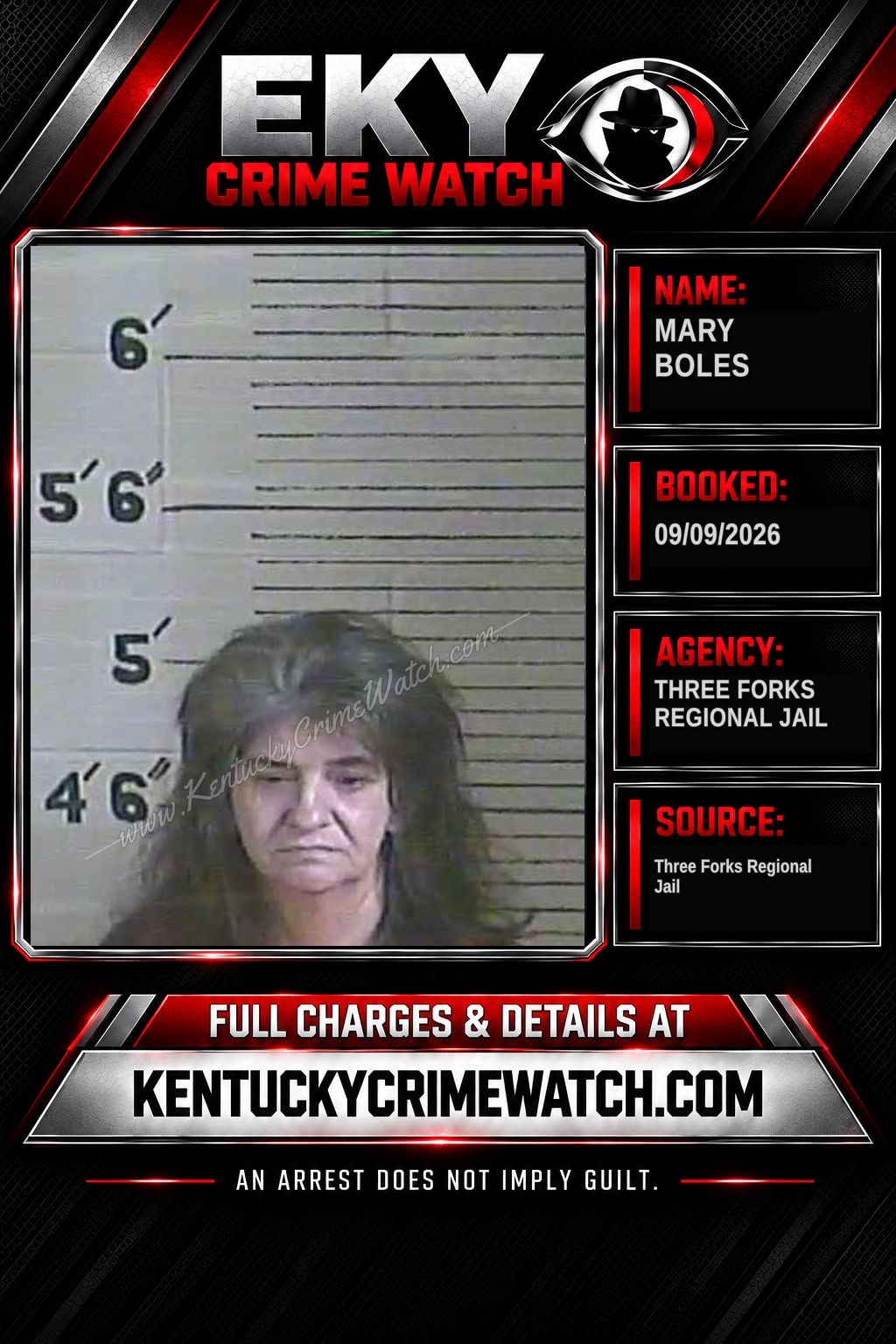Mary Boles booking image