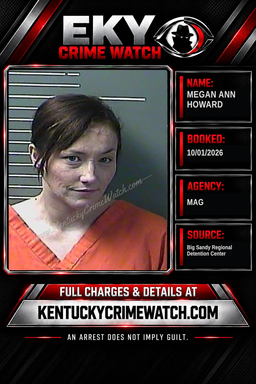 MEGAN ANN HOWARD booking image