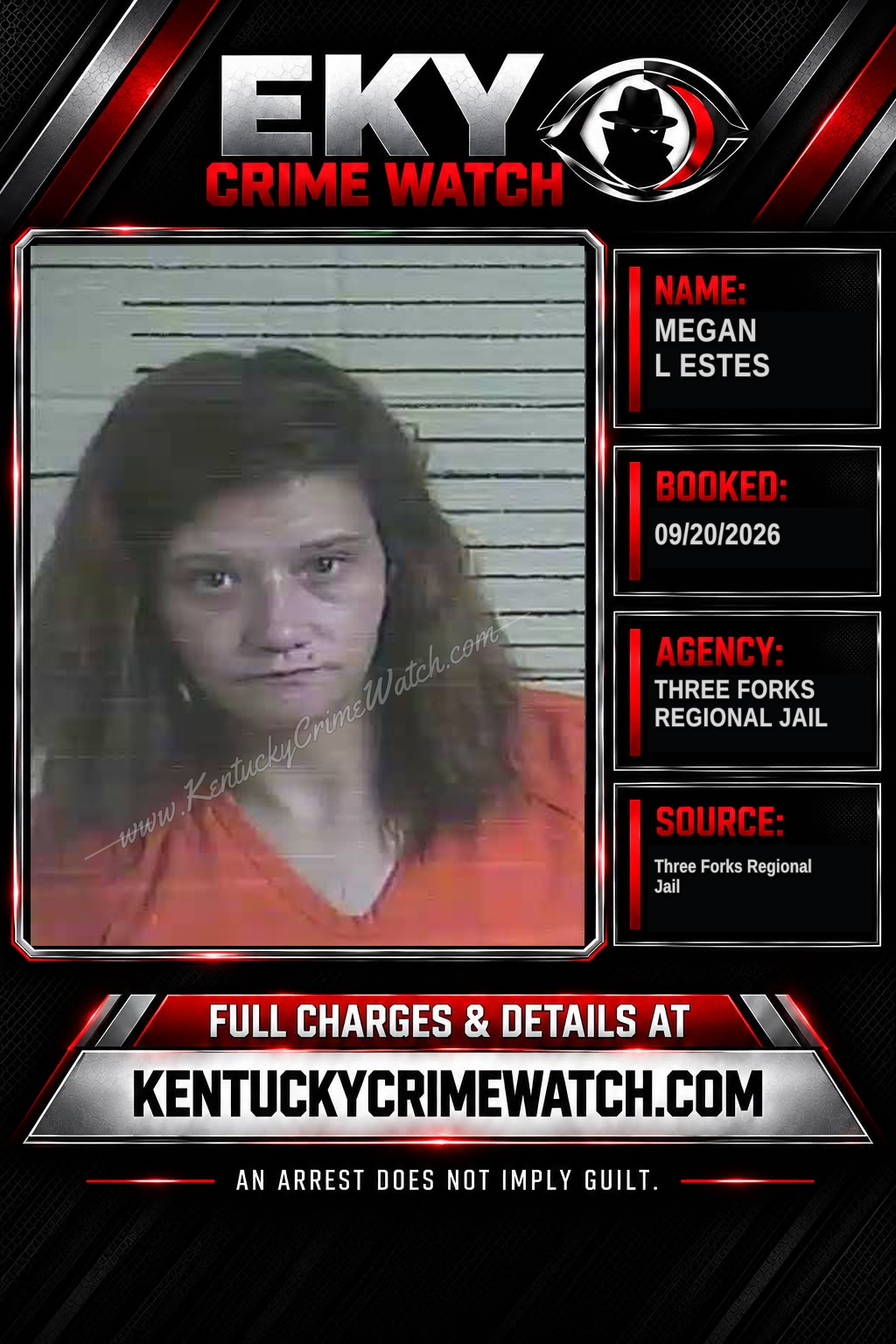 Megan L Estes booking image