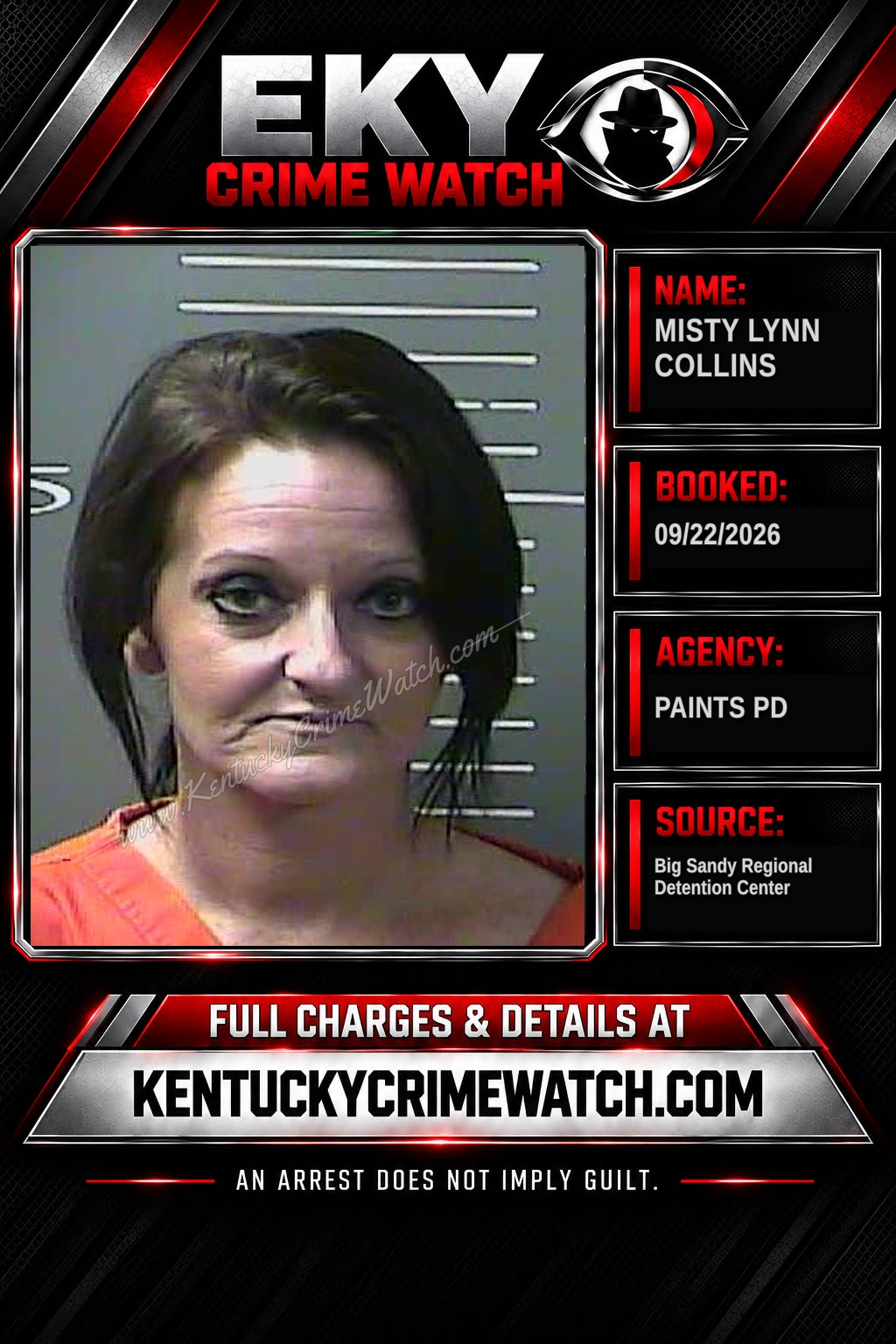 MISTY LYNN COLLINS booking image