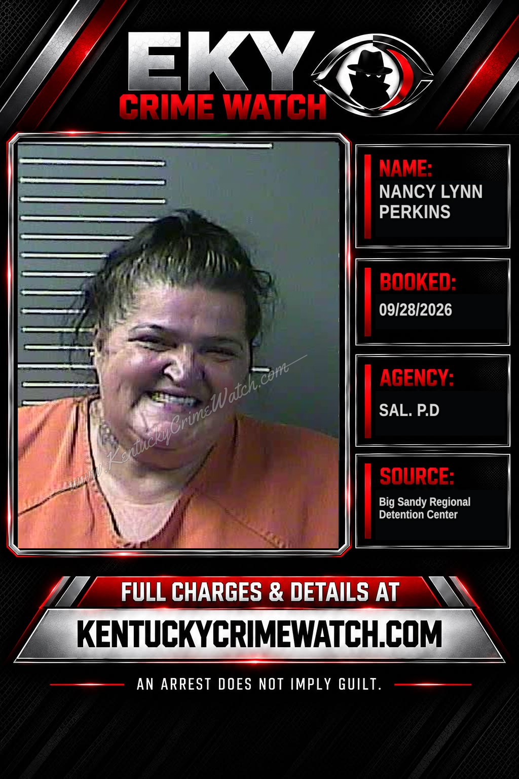 nancy lynn perkins booking image