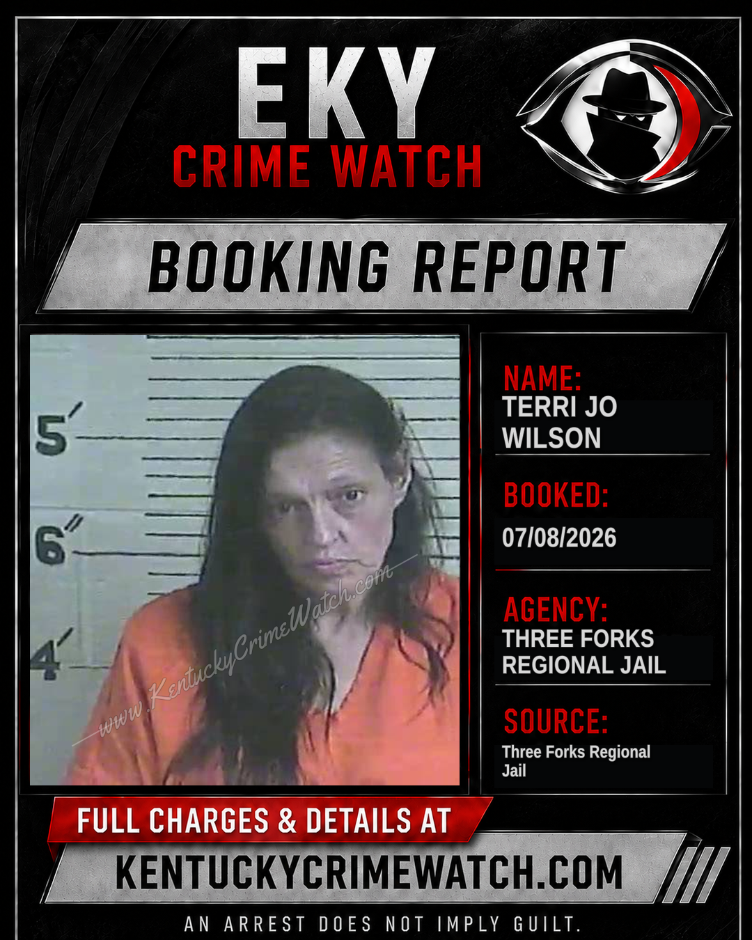 Terri Jo Wilson booking image